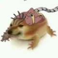 莱菜子